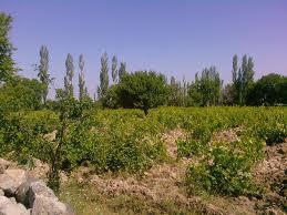 Aksaray Karataş Köyü Resimleri 3