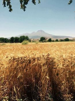 Aksaray Karataş Köyü Resimleri 5