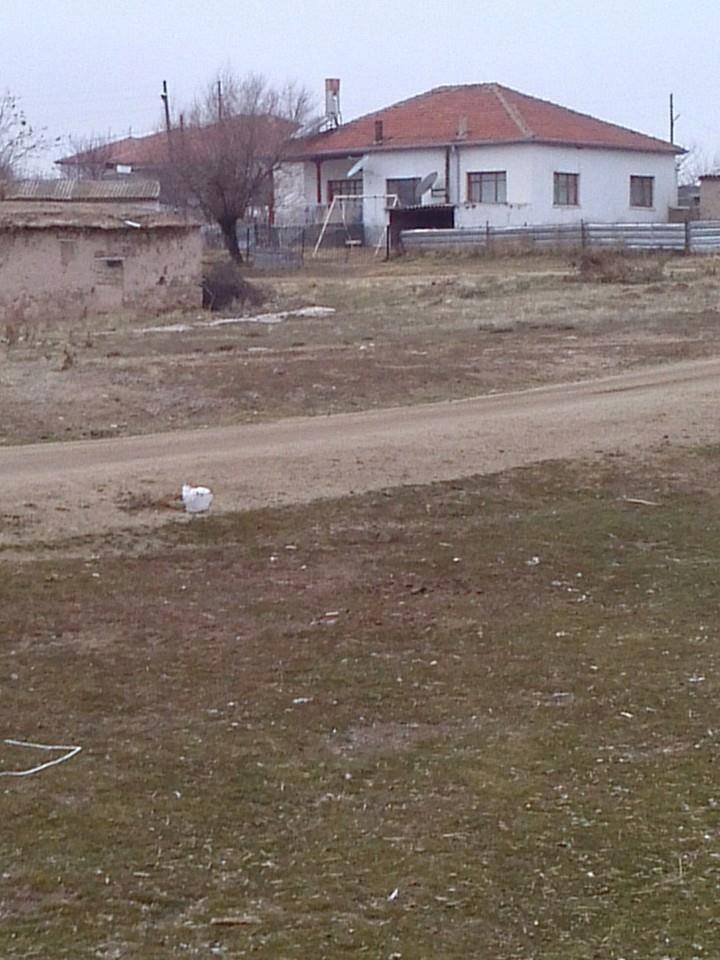 Aksaray Tepesidelik Köyü Resimleri 1