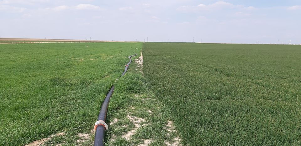 Eskil Bayramdüğün Köyü Resimleri 5