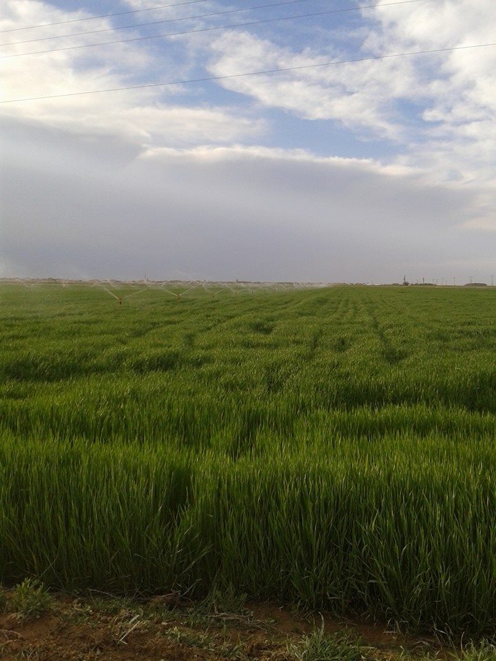 Eskil Çukuryurt Köyü Resimleri 2