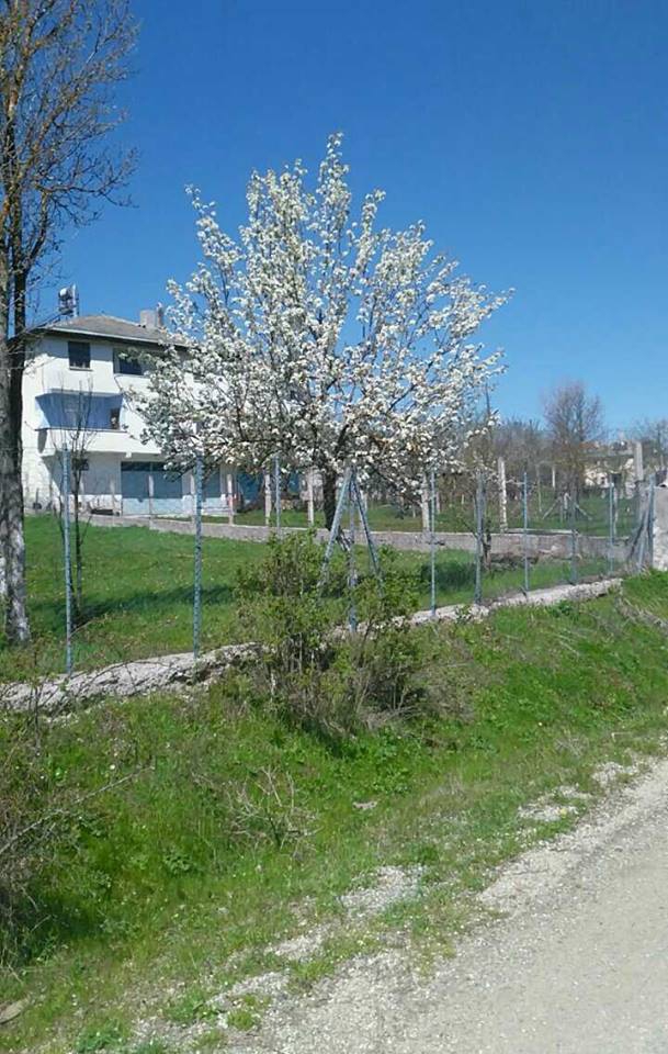Eflani Çengeller Köyü Resimleri 8