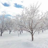 Eskil Katrancı Köyü Resimleri 11