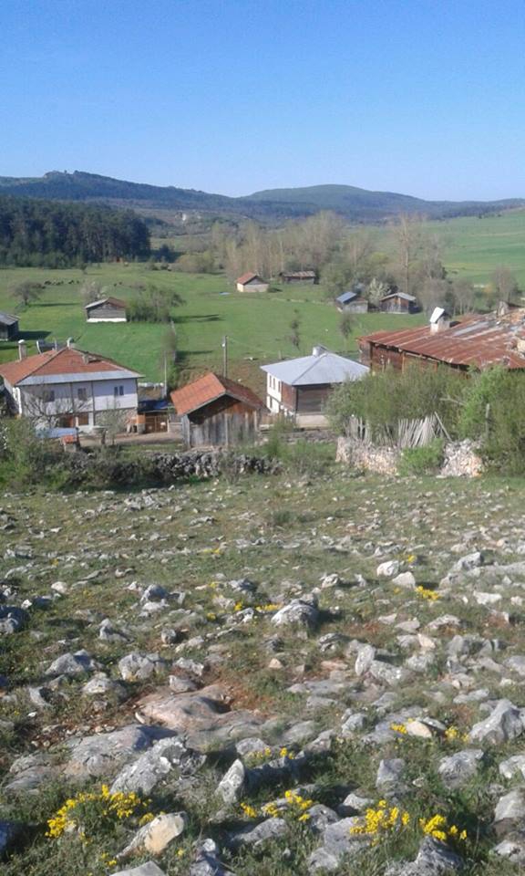 Eflani Çörekli Köyü Resimleri 1