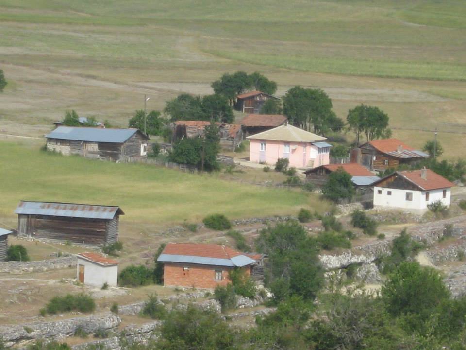 Eflani Çörekli Köyü Resimleri 5