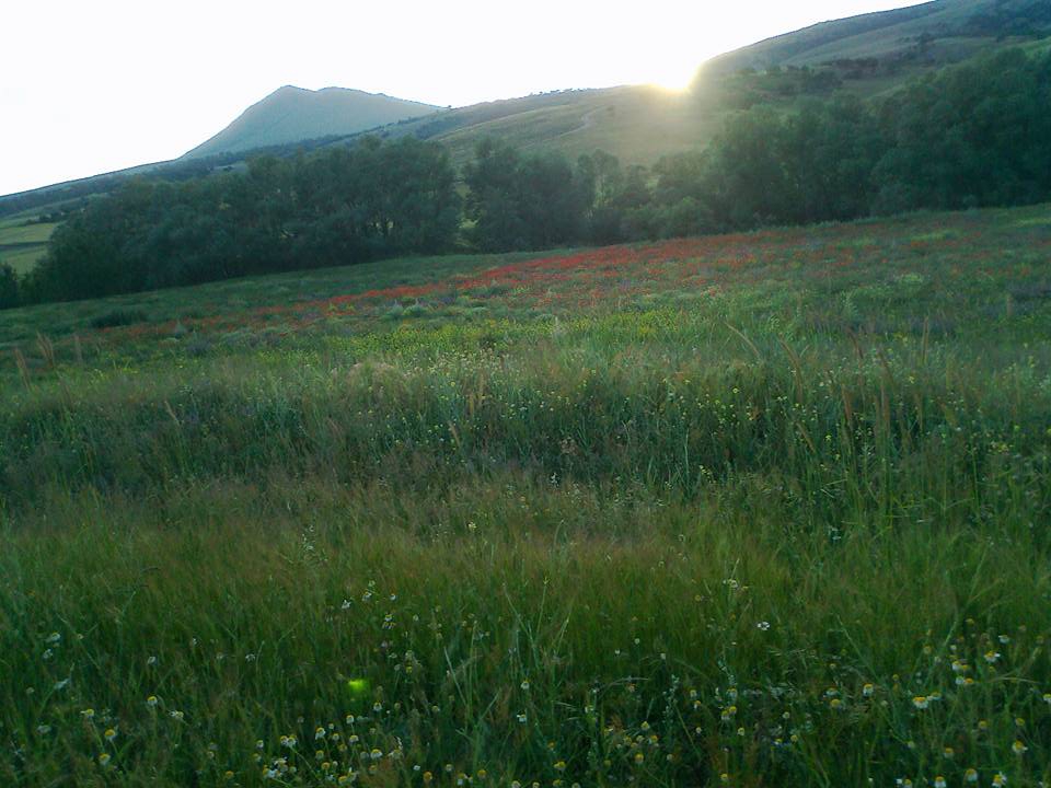 Ortaköy Cumalı Köyü Resimleri 1