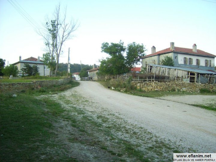 Eflani Çukurgelik Köyü Resimleri 1