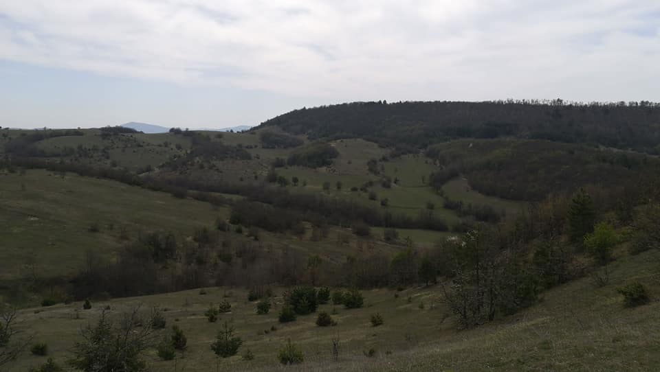 Eflani Çukurgelik Köyü Resimleri 2
