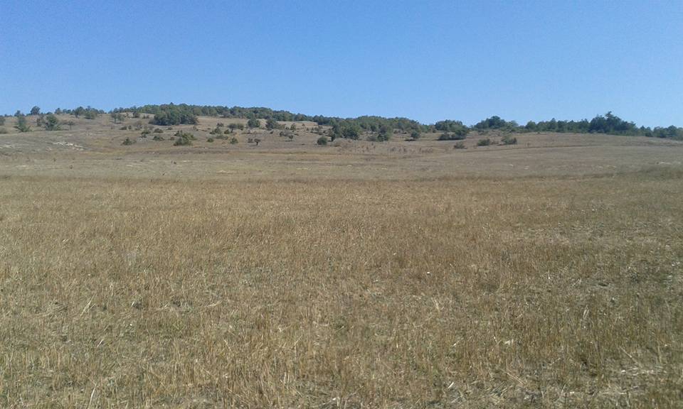 Eflani Çukurgelik Köyü Resimleri 4