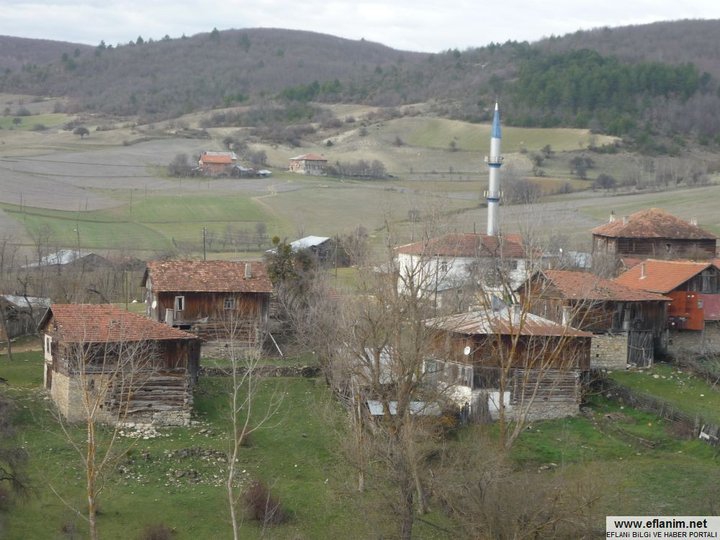 Eflani Çukurgelik Köyü Resimleri 5