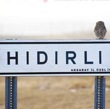 Ortaköy Hıdırlı Köyü Resimleri 2