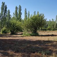 Ortaköy Hıdırlı Köyü Resimleri 4