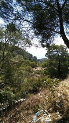 Eflani Çukurören Köyü Resimleri 3