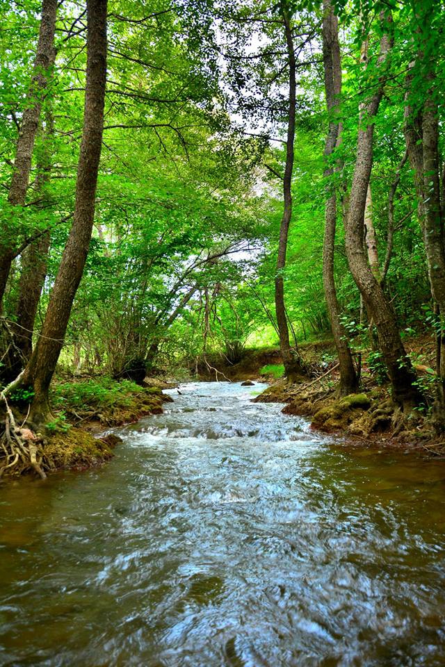 Eflani Çukurören Köyü Resimleri 4