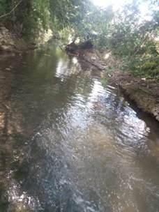 Eflani Çukurören Köyü Resimleri 8