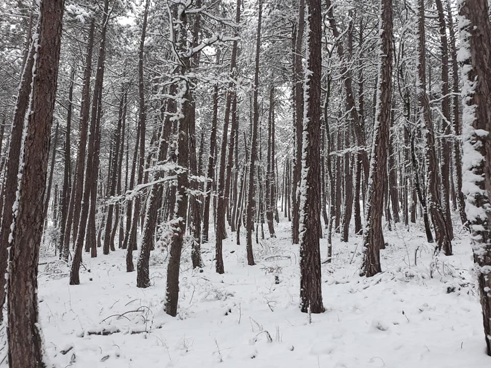 Eflani Demirli Köyü Resimleri 3