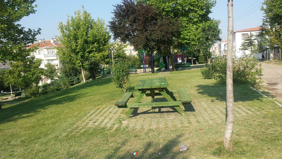 Odunpazarı Orhangazi Köyü Resimleri 2