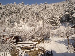 Eflani Emirler Köyü Resimleri 4