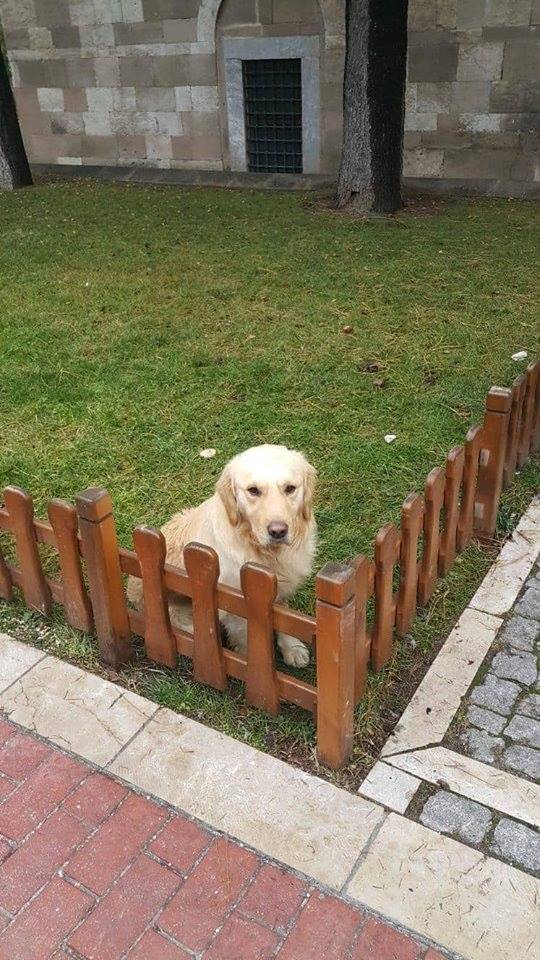 Odunpazaarı Yassıhöyük Köyü Rresimleri 1