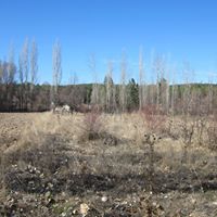 Odunpazarı Yukarıılıca Köyü Resimleri 6