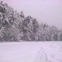 Odunpazarı Yukarıılıca Köyü Resimleri 8