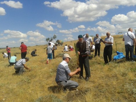 Çorum-Sungurlu Gökçeköy Resimleri 3