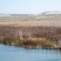 Sivrihisar Ahiler Köyü Resimleri 2