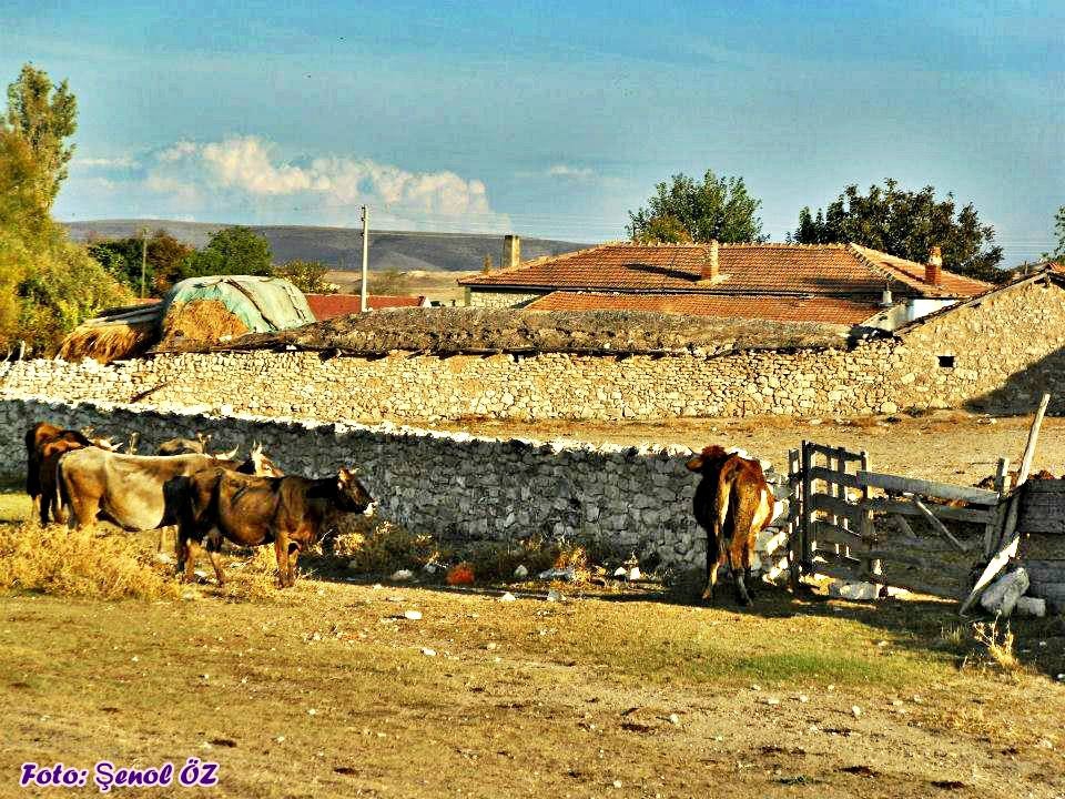 Sivrihisar Ahiler Köyü Resimleri 5