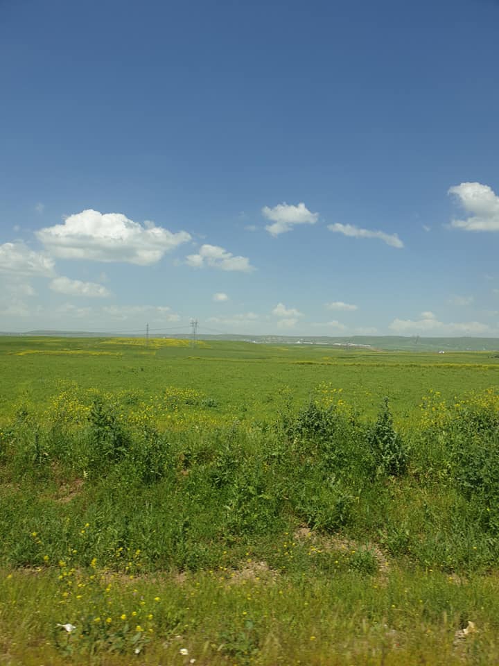 Sivrihisar Aktaş Köyü Resimleri 2