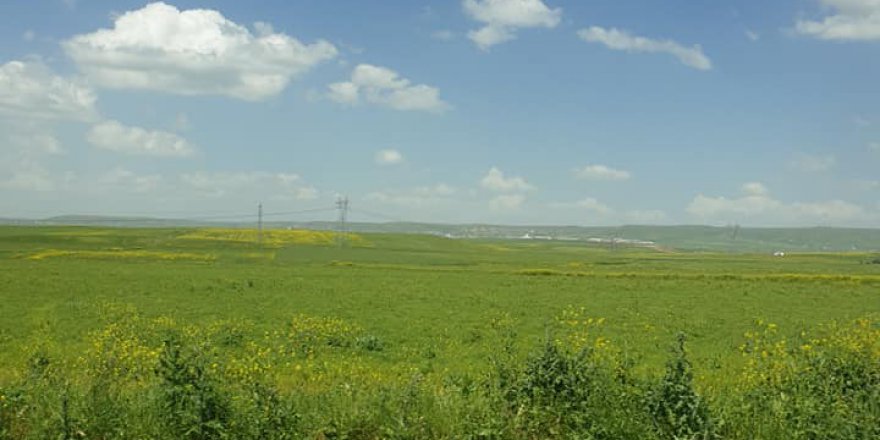 Sivrihisar Aktaş Köyü Resimleri