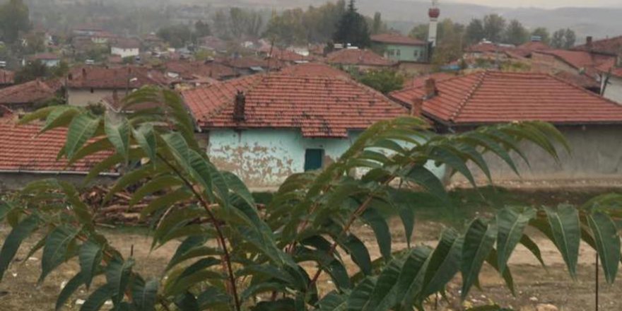 Sivrihisar Babadat Köyü Resimleri