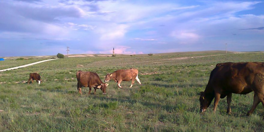 Sivrihisar Benliyaver Köyü Resimleri