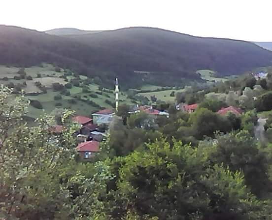 Eflani Gökgöz Köyü Resimleri 1