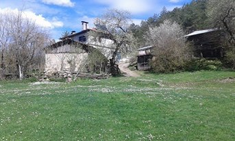 Eflani Gökgöz Köyü Resimleri 2