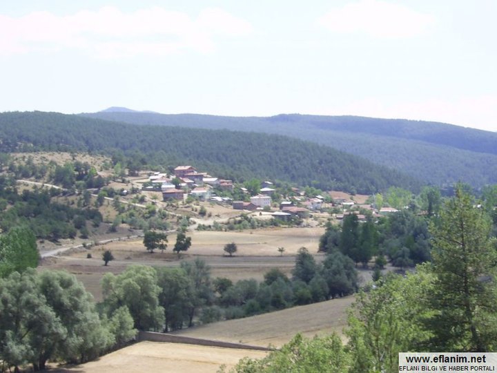 Eflani Gökgöz Köyü Resimleri 7