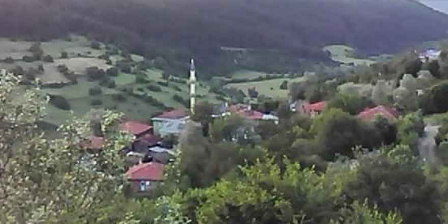 Eflani Gökgöz Köyü Resimleri