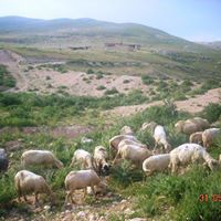 Sivrihisar Dümrek Köyü Resimleri 4