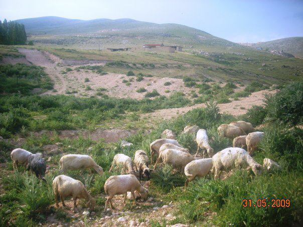 Sivrihisar Dümrek Köyü Resimleri 6