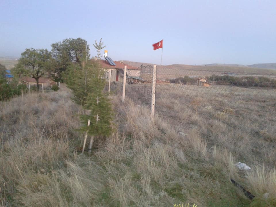 Sivrihisar Elcik Köyü Resimleri 1