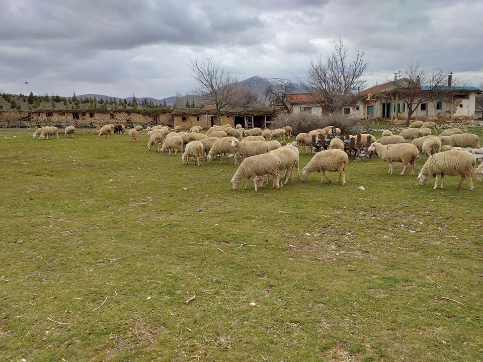 Sivrihisar Elcik Köyü Resimleri 6