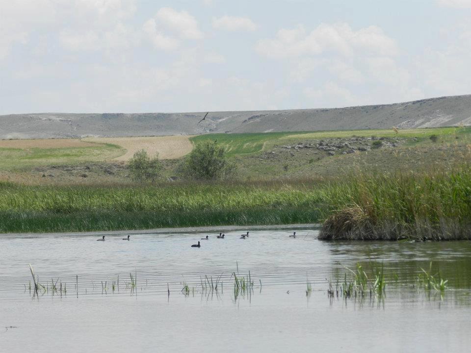 Sivrihisar Ertuğrulköy Köyü Resimleri 12