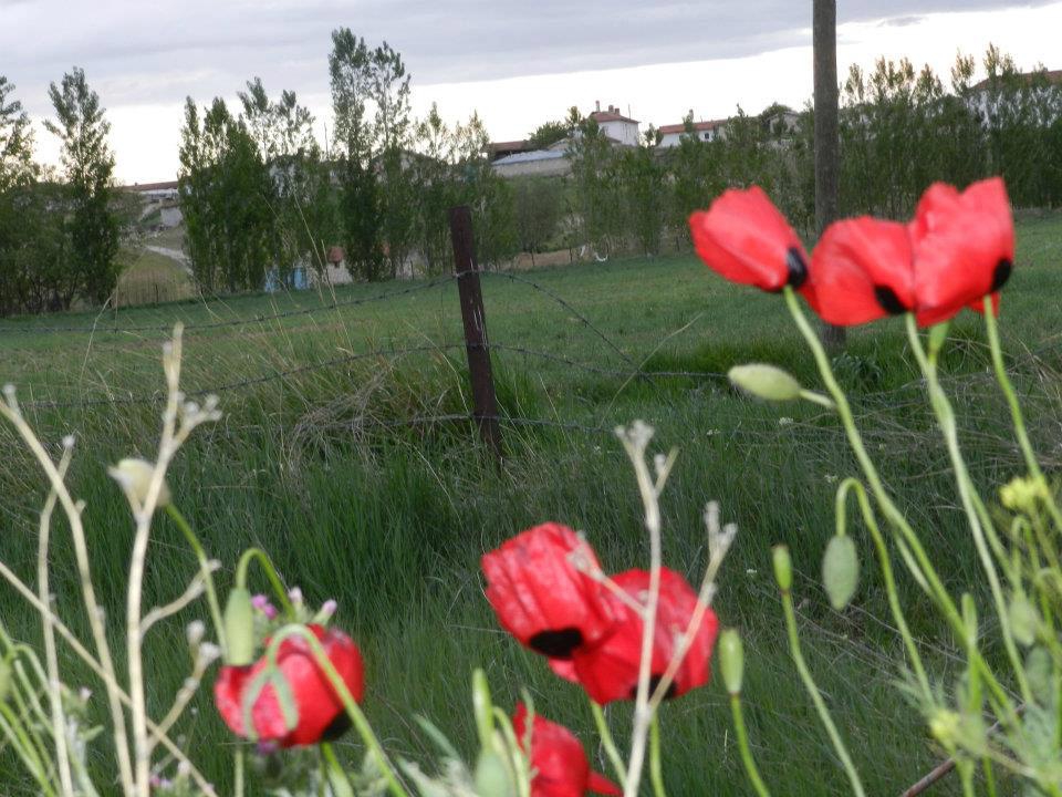 Sivrihisar Ertuğrulköy Köyü Resimleri 2