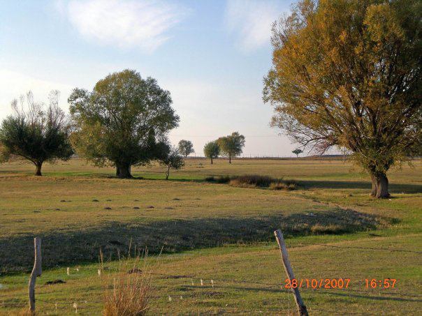 Sivrihisar Ertuğrulköy Köyü Resimleri 3