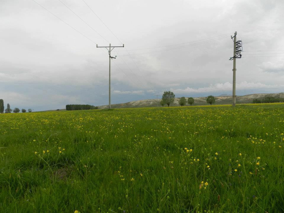 Sivrihisar Ertuğrulköy Köyü Resimleri 5