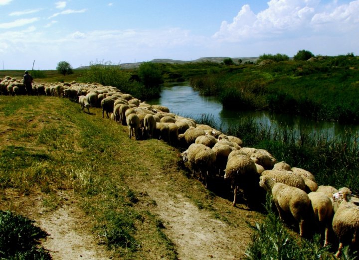 Sivrihisar Gülçayır Köyü Resimleri 1