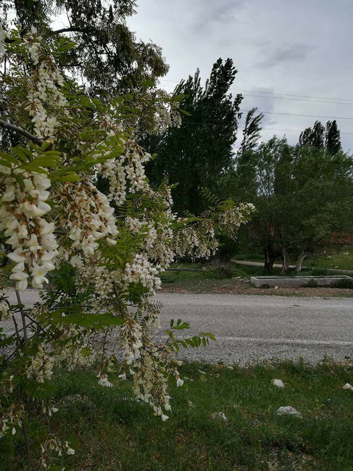 Sivrihisar Güvemli Köyü Resimleri 2