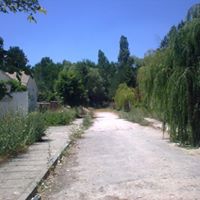 Sivrihisar Hamamkarahisar Köyü Resimleri 2