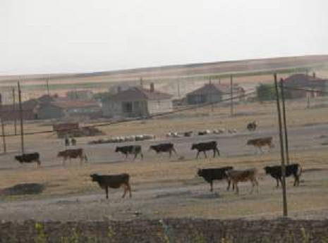 Sivrihisar İğdecik Köyü Resimleri 5