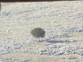 Sivrihisar Karacaören Köyü Resimleri 4