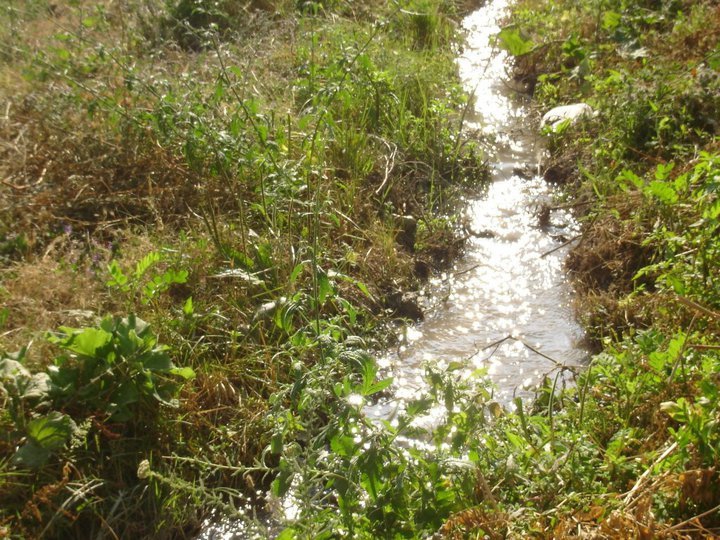 Sivrihisar Karadat Köyü Resimleri 3